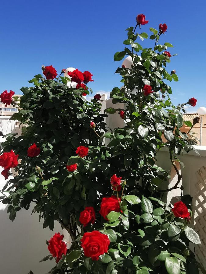 Ferienwohnung Costamar Playa Arenales Del Sol Exterior foto